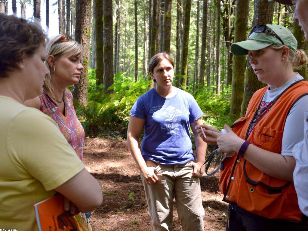 យុទ្ធសាស្ត្រដើម្បីបន្ថែមប្រាក់ចំណេញសម្រាប់ហាង