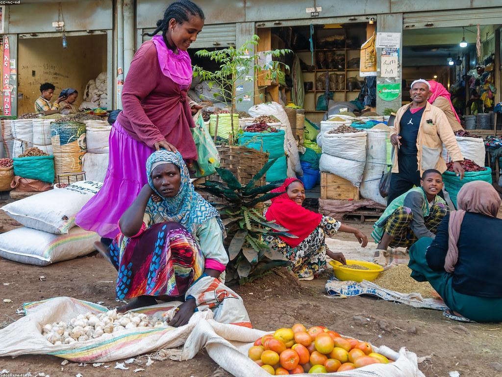 ការយល់ដឹងអំពីសហគមន៍kh19 និងការបង្កើតអត្ថបទសម្រាប់វា